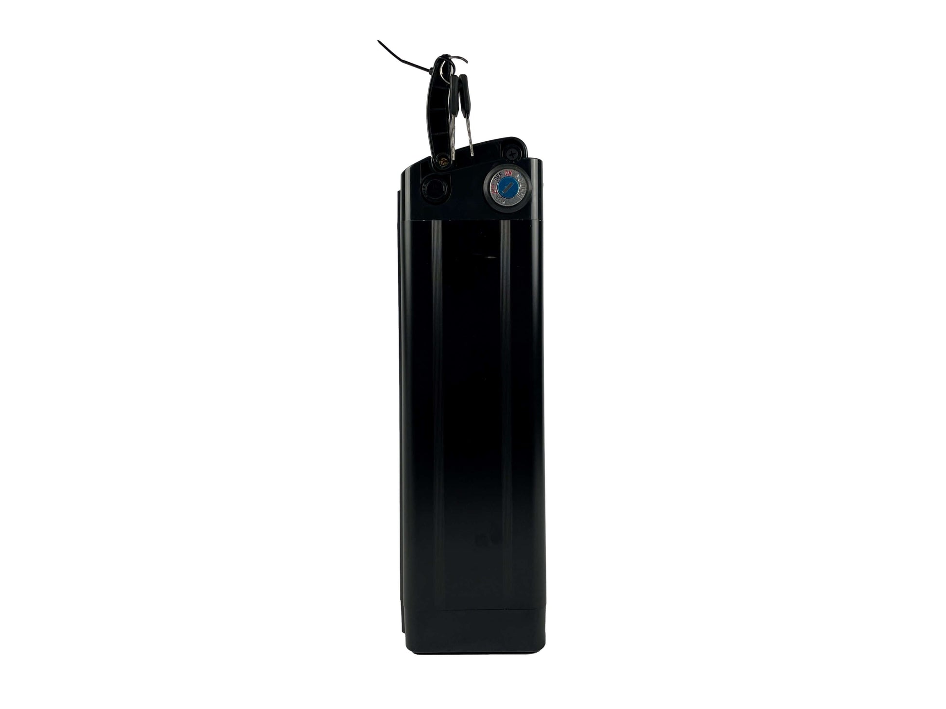 SilverFish Electric Bike Battery Panasonic Cell 48V 20Ah for E3 Fat Tyre eBike